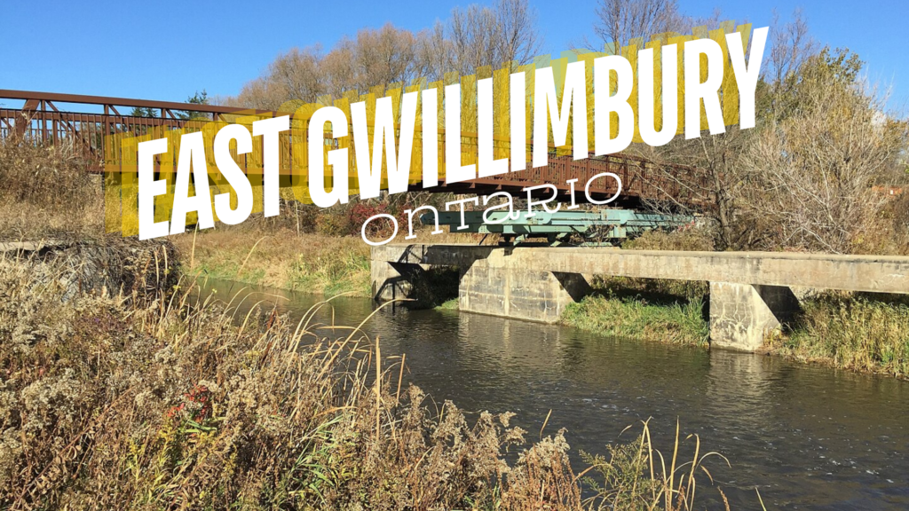 East Gwillimbury Real Estate Market