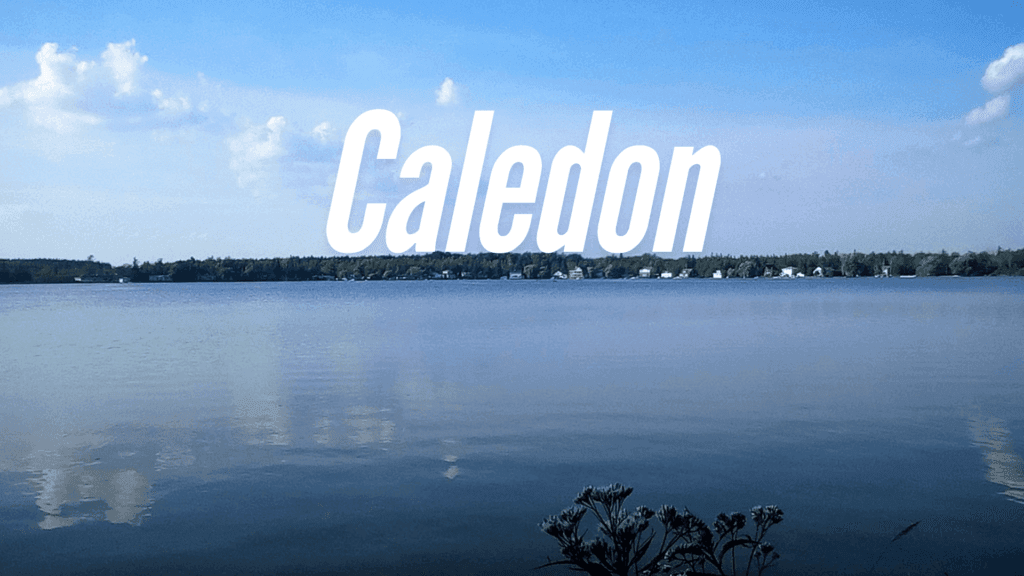 Caledon Real Estate Market Snapshot November 2024