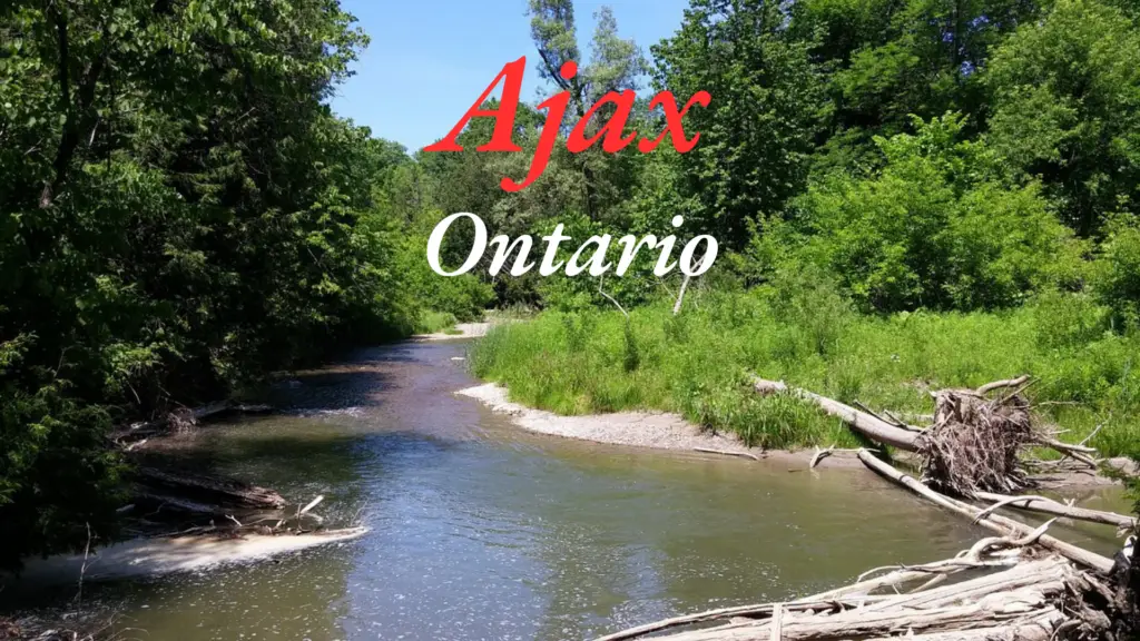 Ajax Real Estate Market -