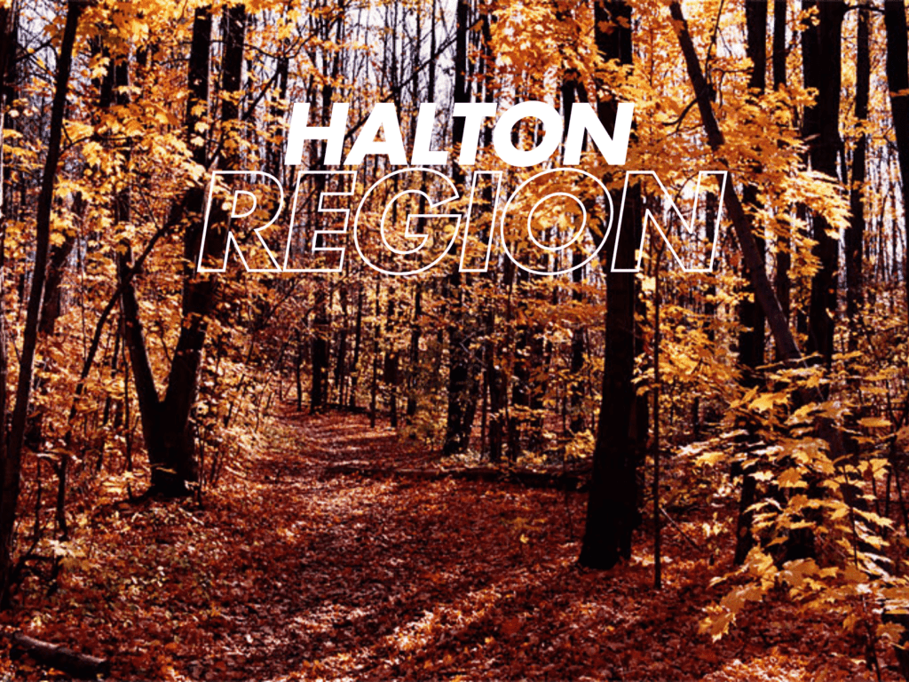 Halton Region Real Estate Market Snapshot January 2025