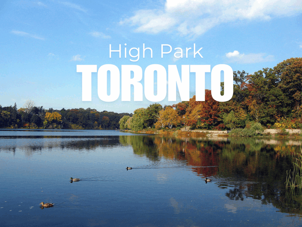 High Park Real Estate: July 2025 Market Video!