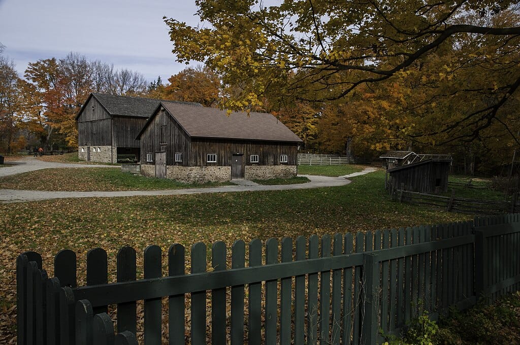 Bronte Real Estate: October 2025 Market Video!