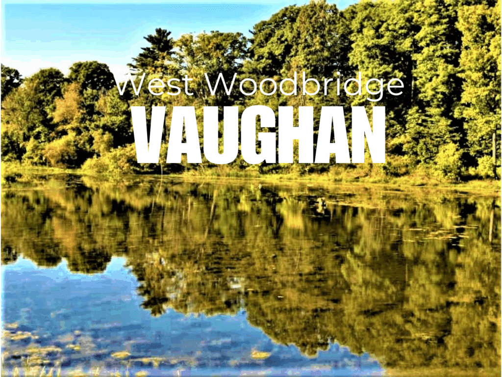 October 2025: West Woodbridge Real Estate Trends!