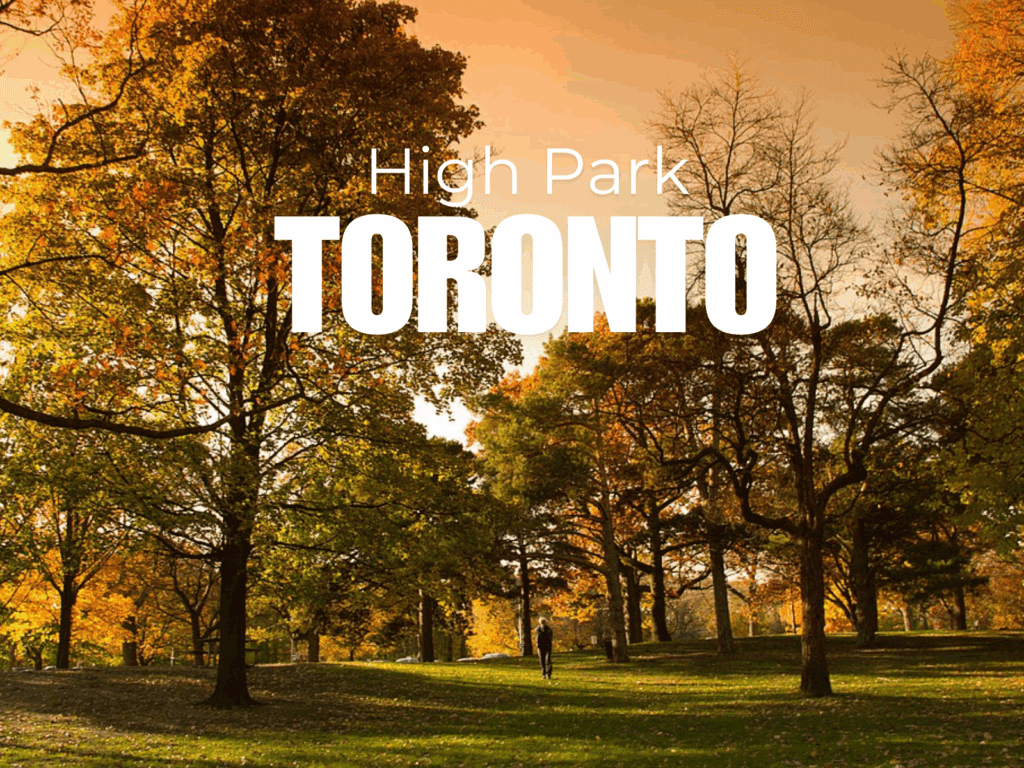 High Park Real Estate: October 2025 Market Update!