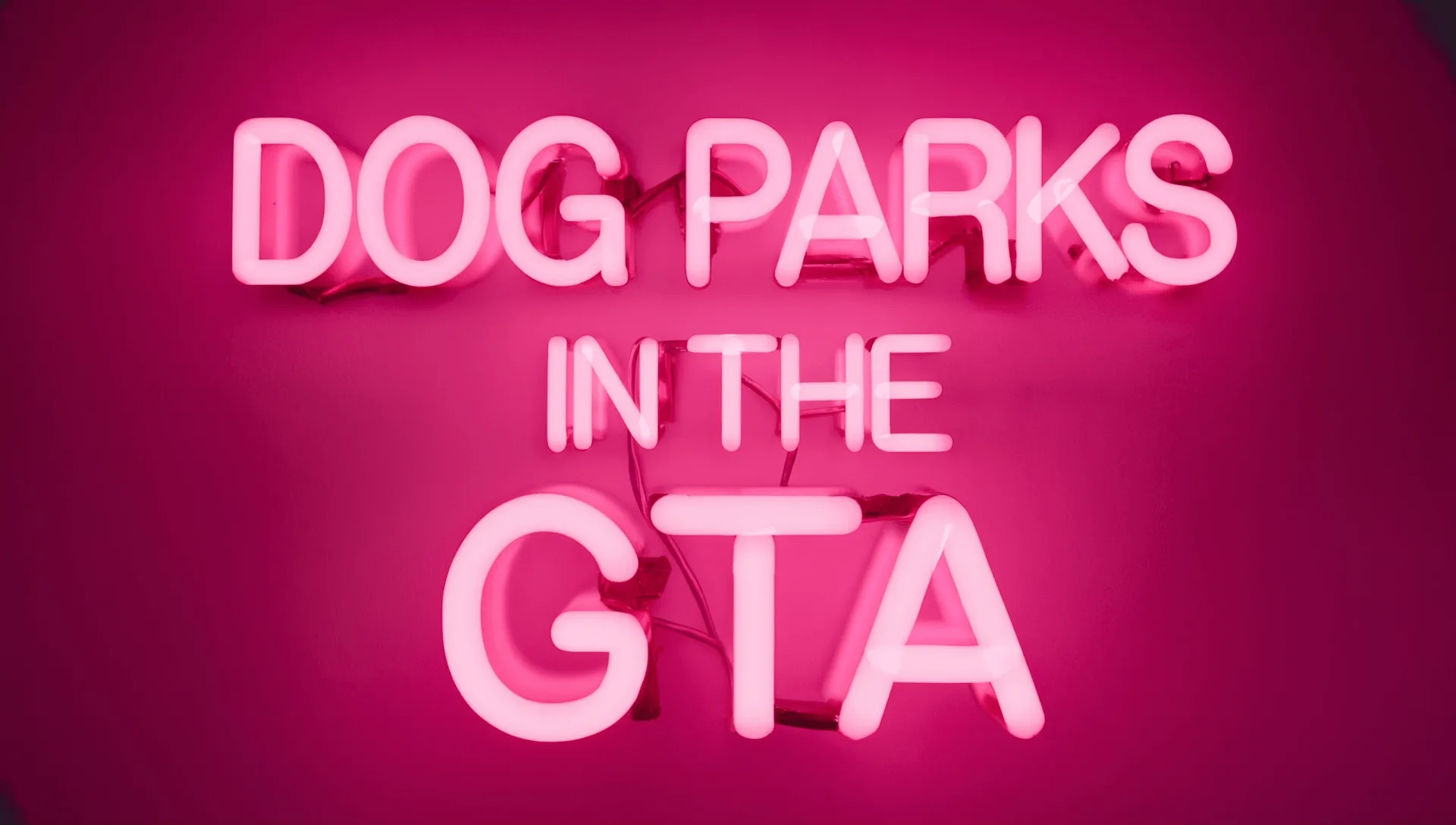 Top 10 GTA Dog Parks | Ranked Episode #1