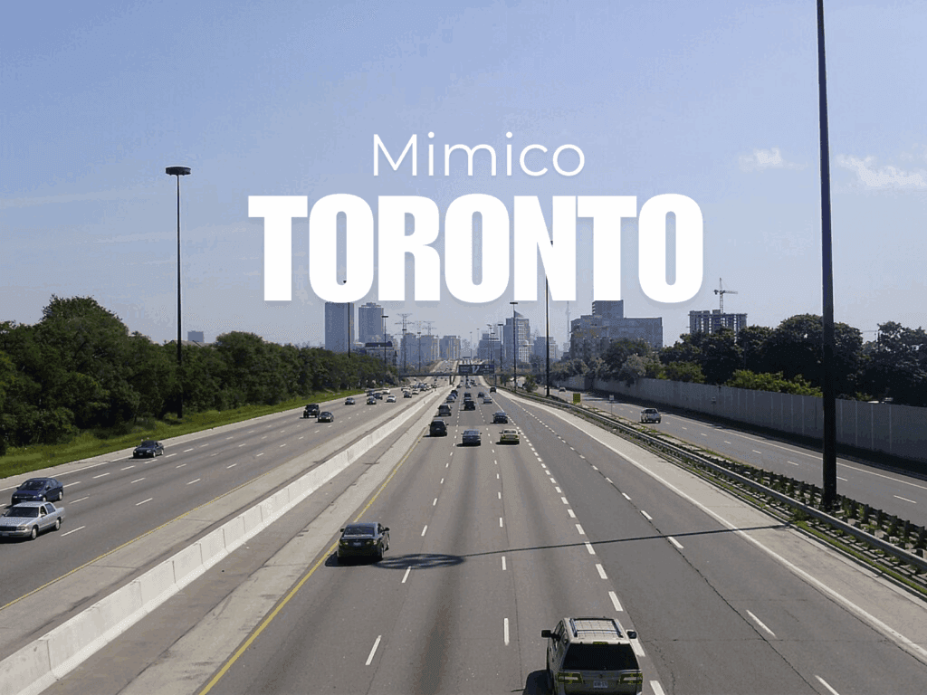Mimico Real Estate: Daily Market Snapshot