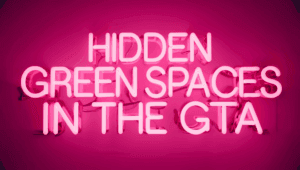 Top 10 Hidden Green Spaces in the GTA | Ranked Episode 3