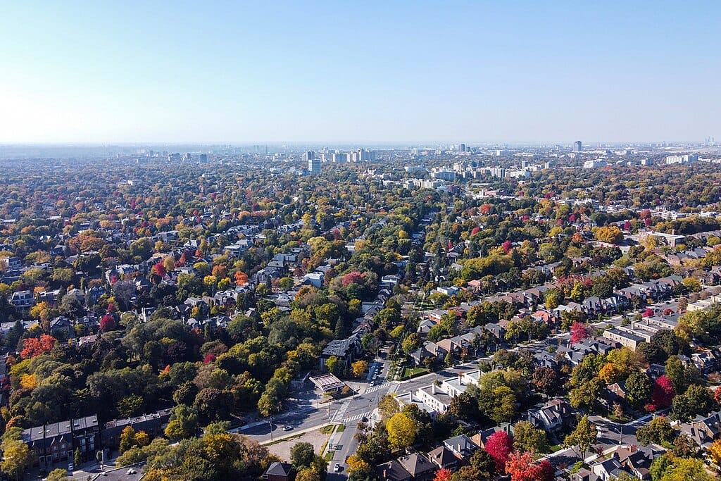 Forest Hill Real Estate Market Update – November 2025