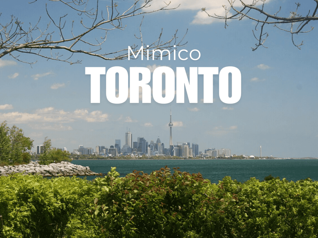 Mimico Real Estate Daily Market Snapshot