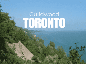 Guildwood Real Estate December Market Snapshot